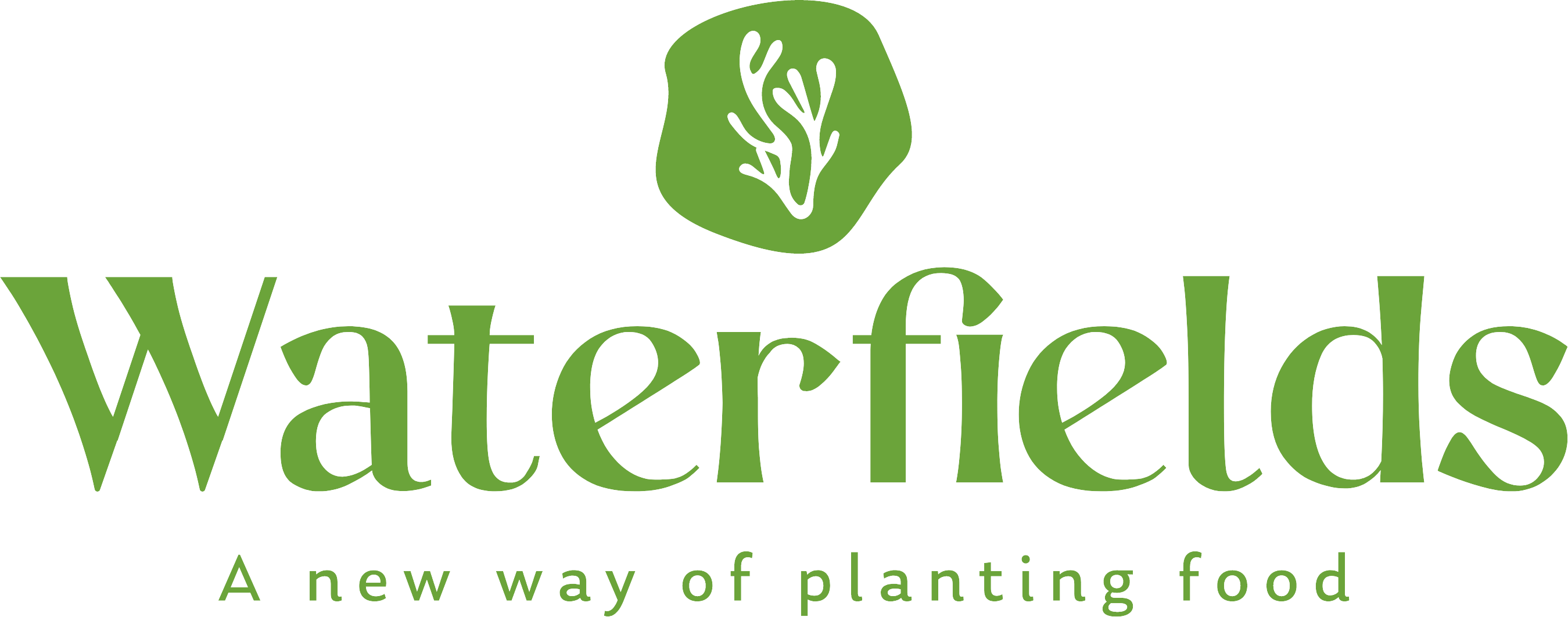 Algen Algae Lebensmittel Vegan Thunfisch biosfood waterfields plantbased